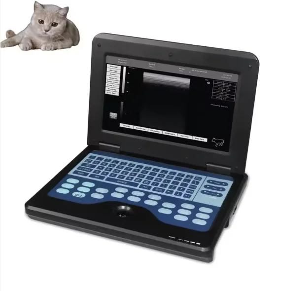 CMS600P2-VET Hot Selling Portable Veterinary Diagnostic  Machine with Built-in USB Rechargeable Design  fast shipping