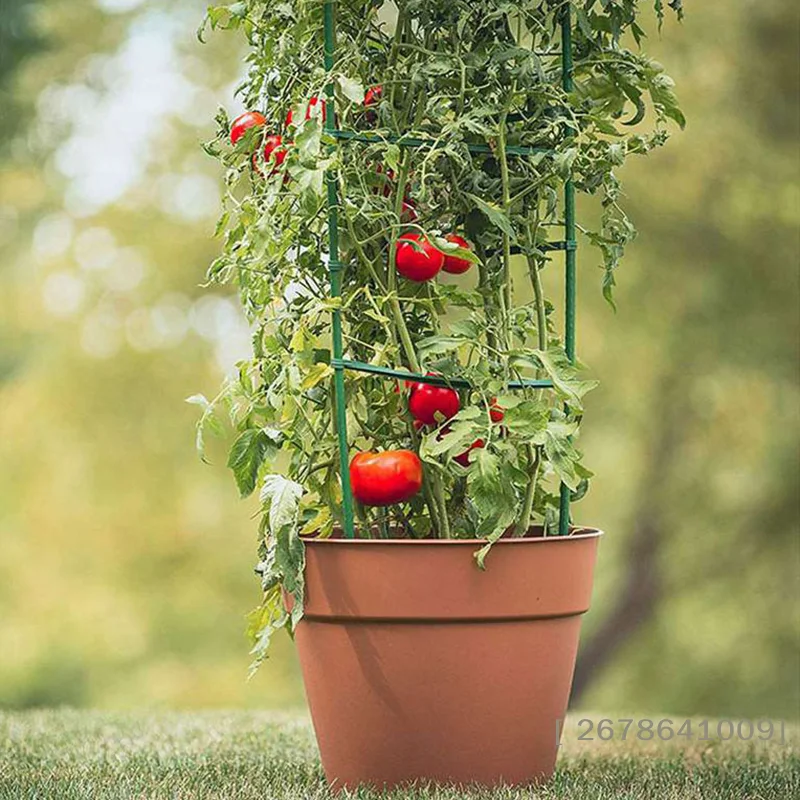 ♥DIY Tomato Plant Support Kit – Stackable Stakes & Rings for Climbing Vegetables & Flowers|〔YY33〕