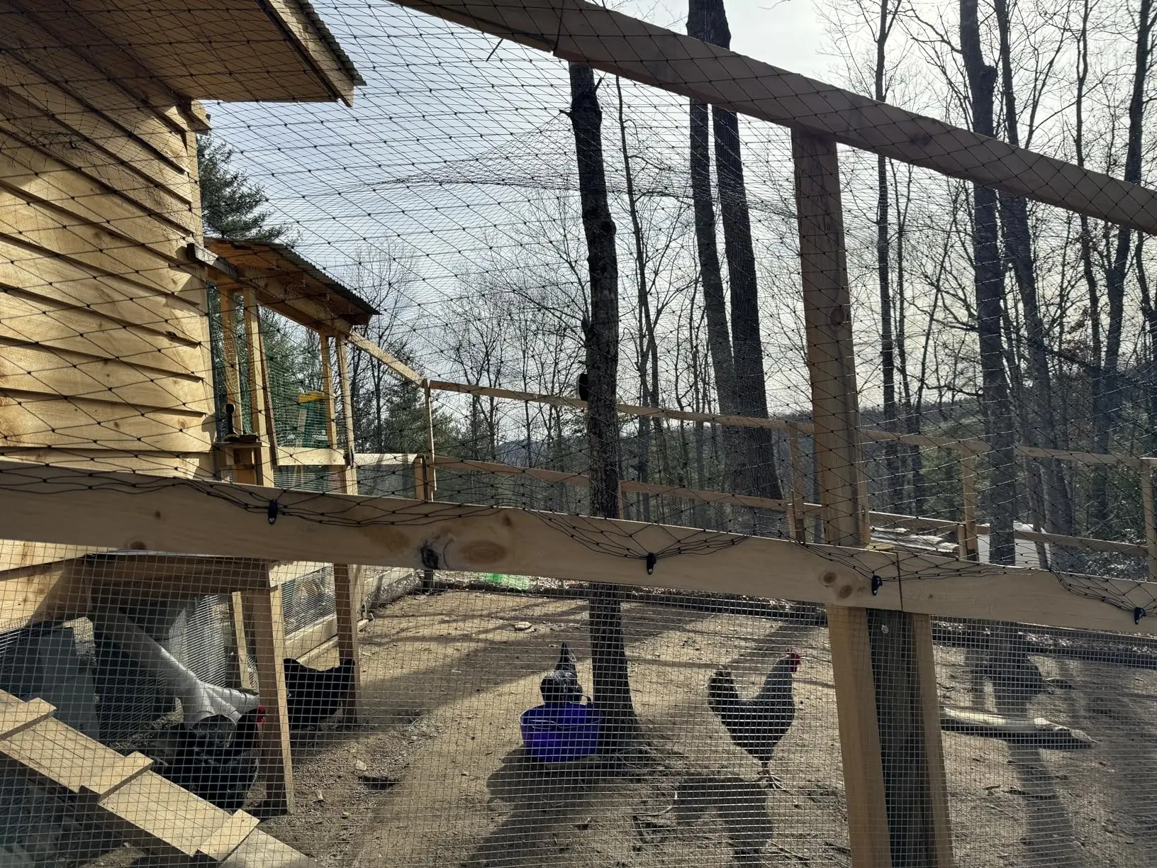Stahldrahtverstärktes Katzennetz für Balkon, Katzen-Anti-Fall-Netz, Gartennetz, Anti-Vogel-Netz mit Draht für Fenster, Treppenrasen – Detail 13