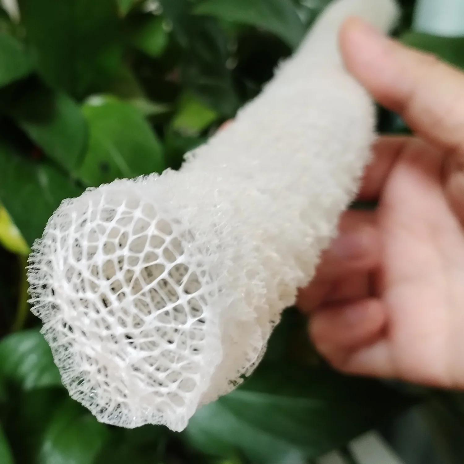 1 PC Sea Porifera Sponge, Euplectella Shell Ocean Creatures Venus Flower Basket Conch CollectionAquarium Decoration Landscaping