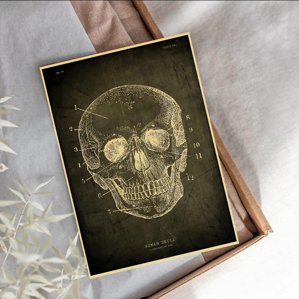 Anatomy Skeleton Education Poster Wall Chart Prints Posters Home Living Bed Room Decor Bar Cafe Pictures Frameless Wall Painting