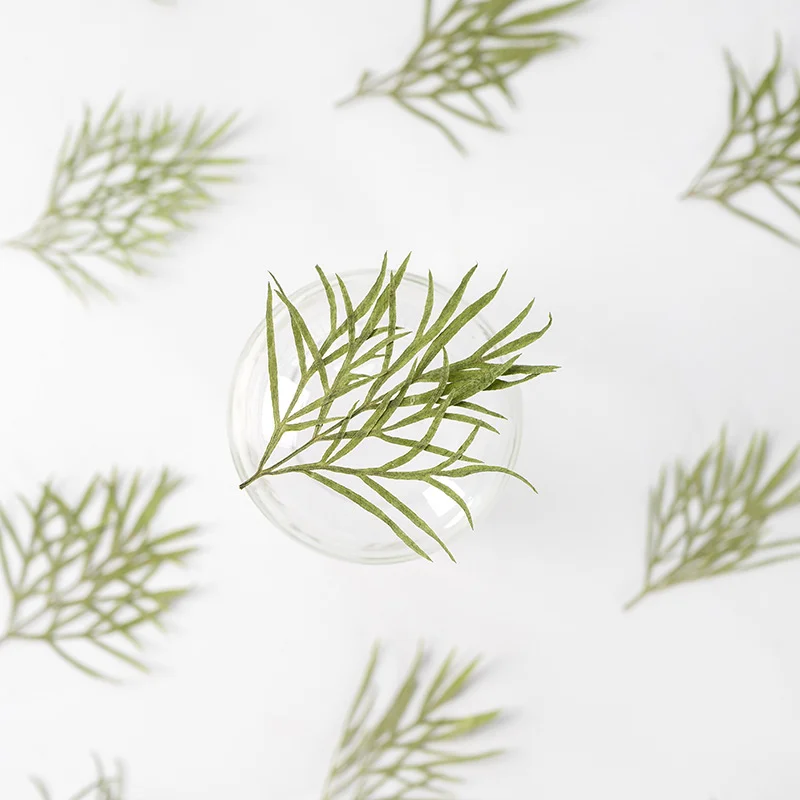 Dried Flower Bookmark - 60 Velas Aromáticas en Forma de