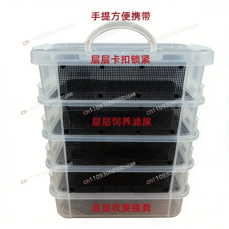 Breadworm feeding box, barley worm feeding box, mealworm feeding box, Kowloon insect silkworm treasure, reptile live insect