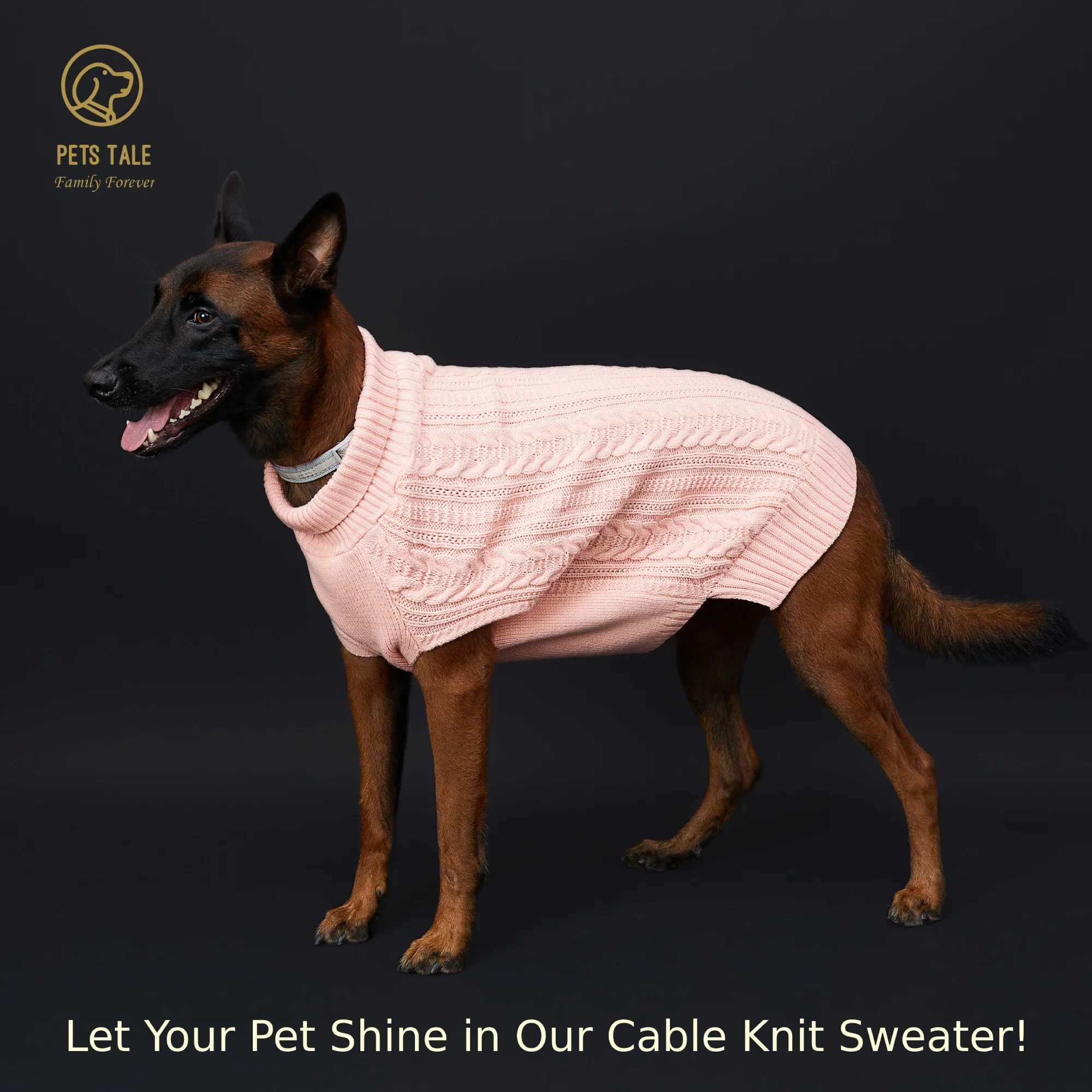 Cable Knit Dog Sweater - Soft High Collar Design with Leash Hole, Available in 4 Colors: Pink, Khaki, Green, and Purple