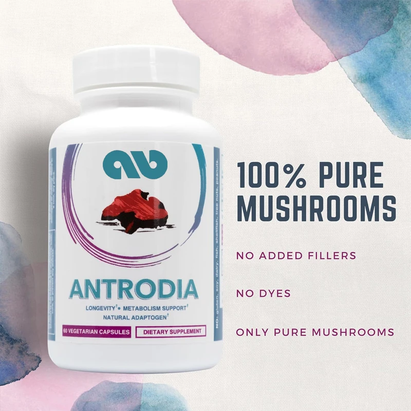 

Pure Antrodia Mushroom Extract Supplement, 60 capsules, supports intestinal health and metabolism, supports liver function