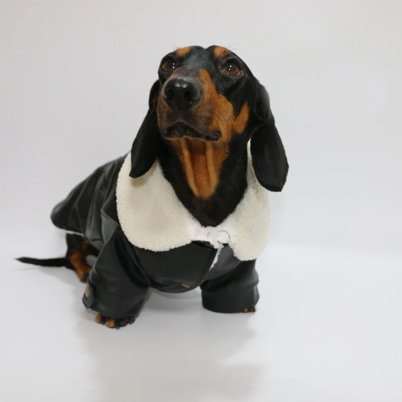 Wiener Badger Winter Cotton Jacket White Black Fur Collar Warm Thick Coat Fashion Windproof  Sausage Dachshund Clothes for Dogs