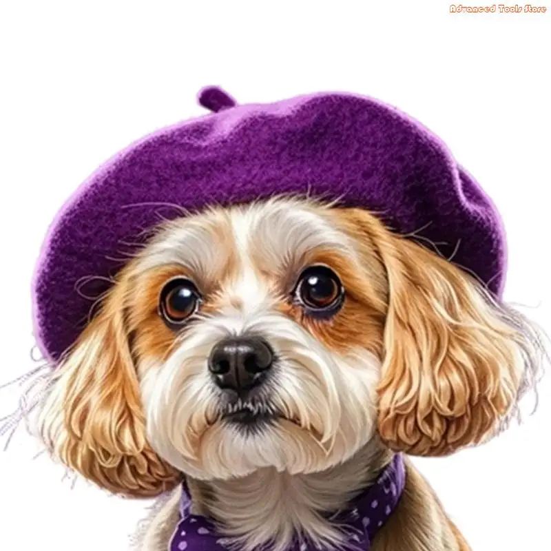 Fashion Pet Hat with Unique Design Enhancing Pet Personality For Social Media Photo And Various Event Gathering W91B