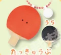 Ping Pong paddle