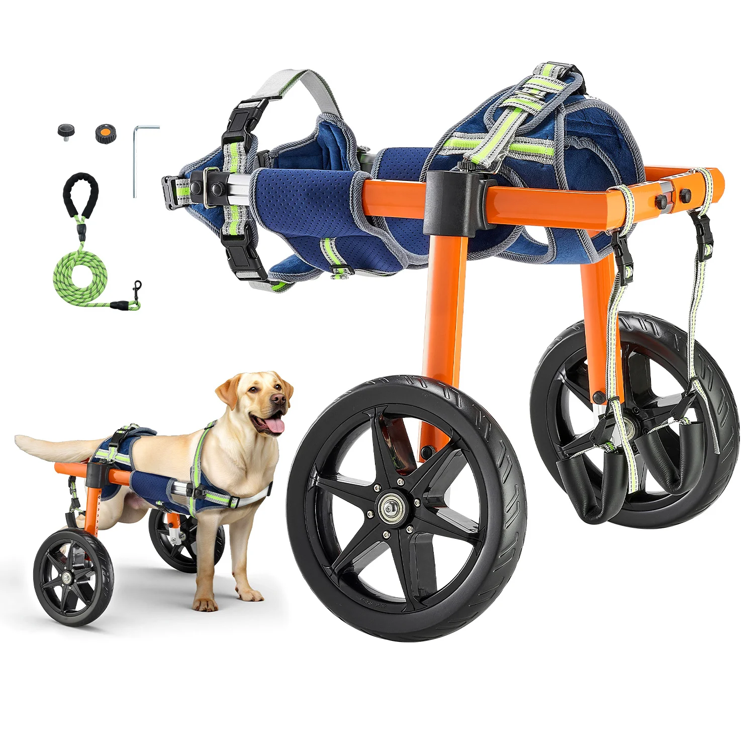 Lightweight 2-Wheel Dog Wheelchair for Hind Legs – Adjustable Height, Width & Length | Shock-Absorbing Wheels | Suitable for Med view 6