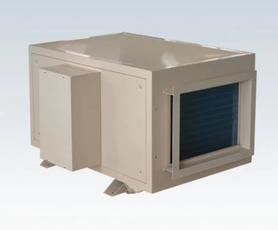 SELWET 220V Industrial Electric Ceiling Dehumidifier CE Certified Automatic Control 10-20L/H Capacity for Basement Workshop