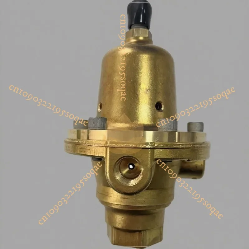 

High Precision Filter Pressure Regulating Valve 1301F-3 1/4 Inch NPT Brass Body for Industrial Gas System