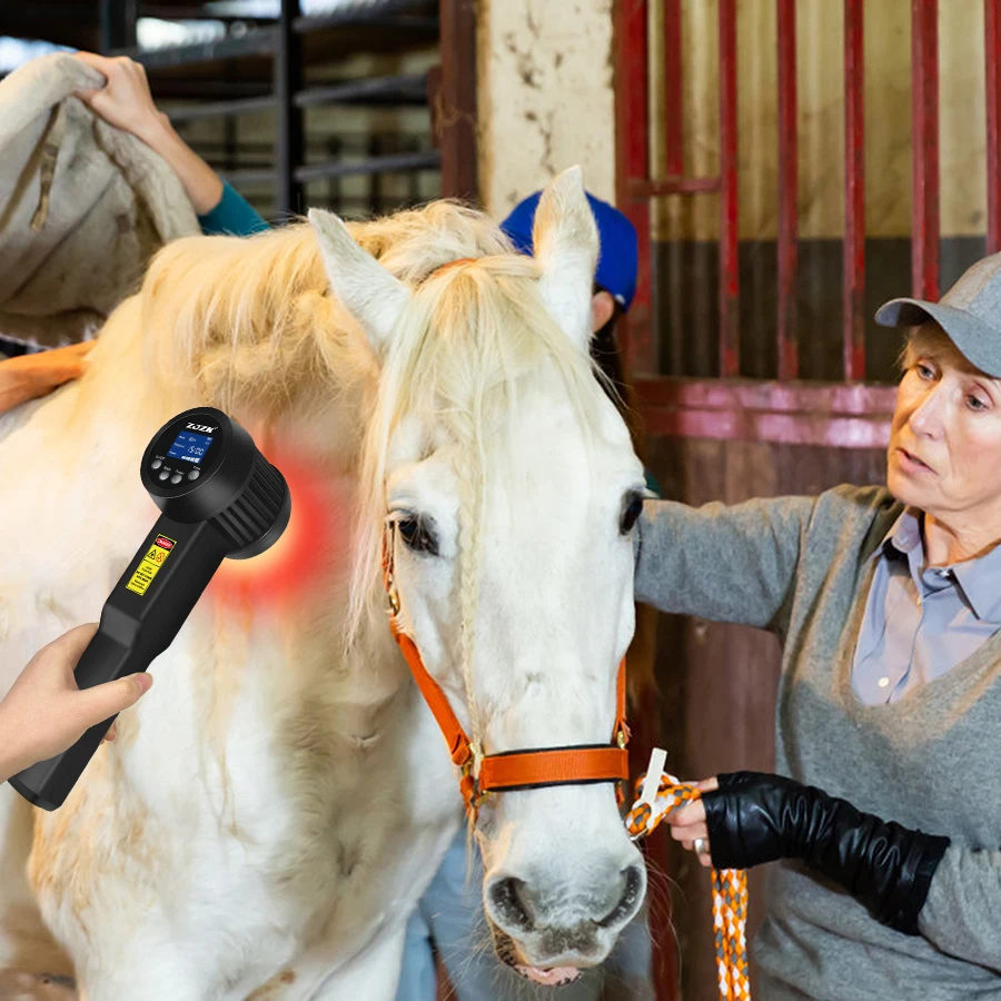 

5W Diode 808nm Equine Therapy Massagers Products Joint and Muscle Pain Treatment Device for Dog Horse Rehabliation