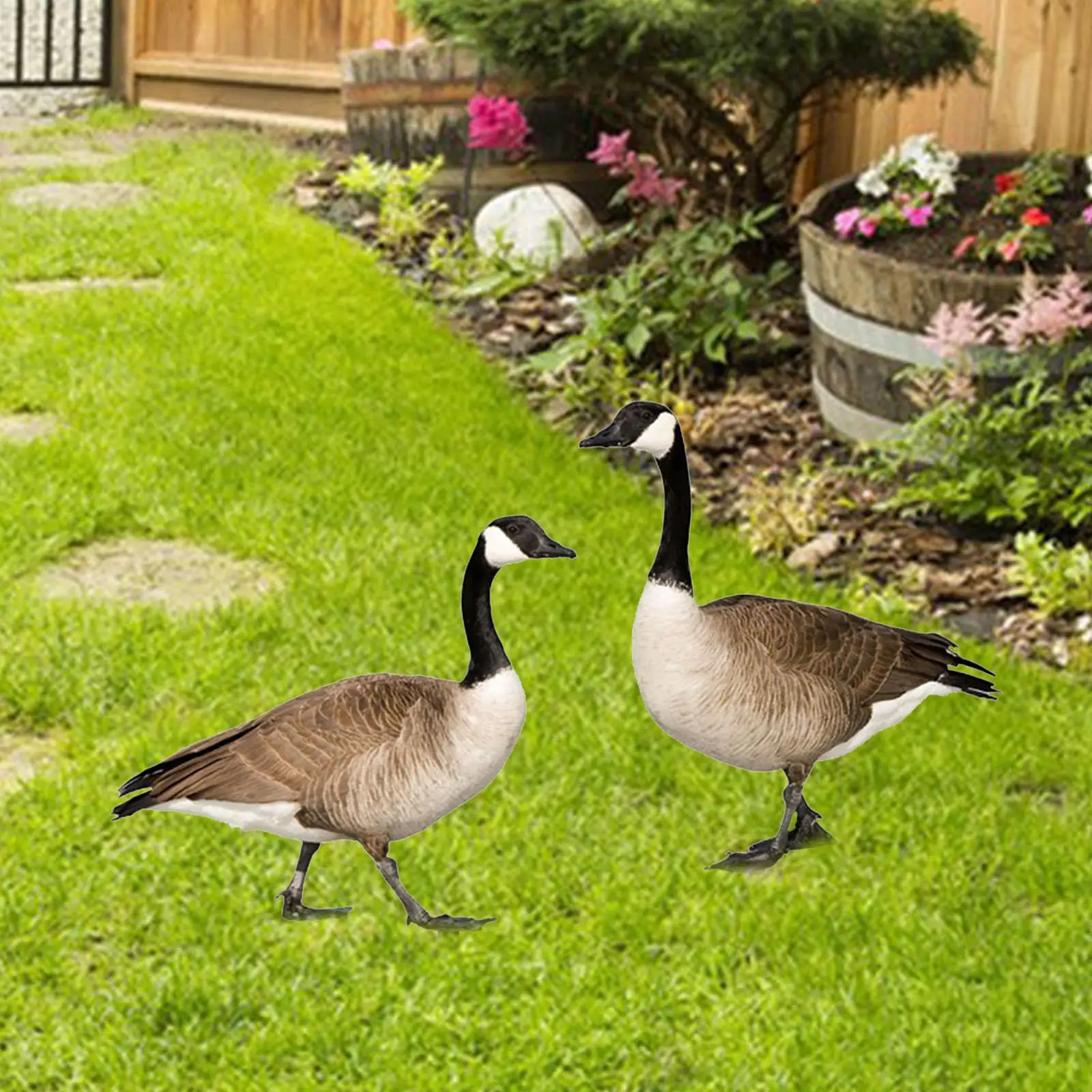 

2Pcs 2D Outdoor Decorative Garden Stake Creative Festival Supplies Duck Shape for Bonsai Backyard Pathway Indoor Outdoor Yard