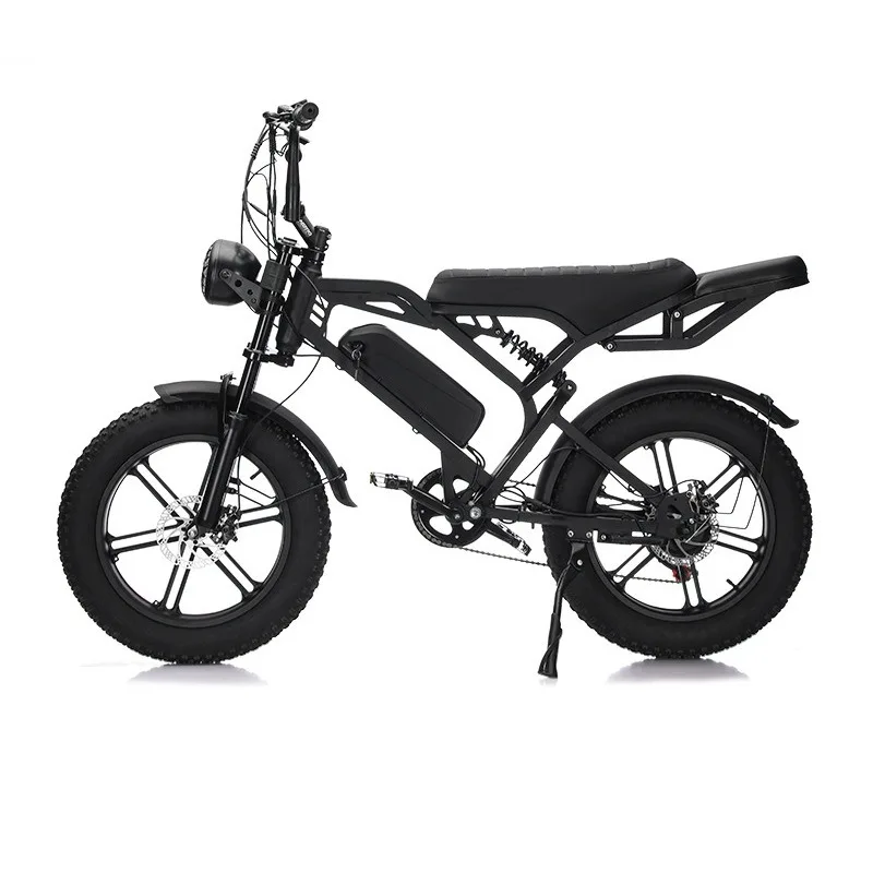 20 inch snow off-road fat tire electric power mountain bike