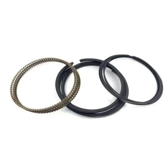 

1004021-B02 Piston ring For Changan CX70 1.5T