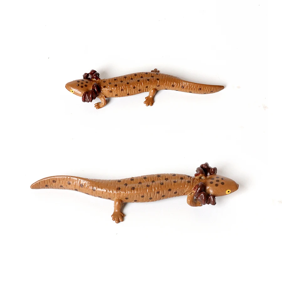 リアルな野生爬虫類動物のおもちゃ サラマンダー クリプトブランチョイデア アホロートル モデル フィギュア コレクション 教育玩具 子供向け