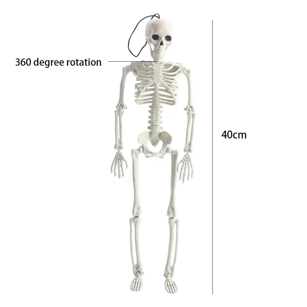 40 سنتيمتر الحلي اكسسوارات السيارات الداخلية علم الأحياء تعليم العظام البشرية تجهيزات حفلة الهالوين سيارة مرآة الرؤية الخلفية قلادة نموذج هيكل عظمي #6