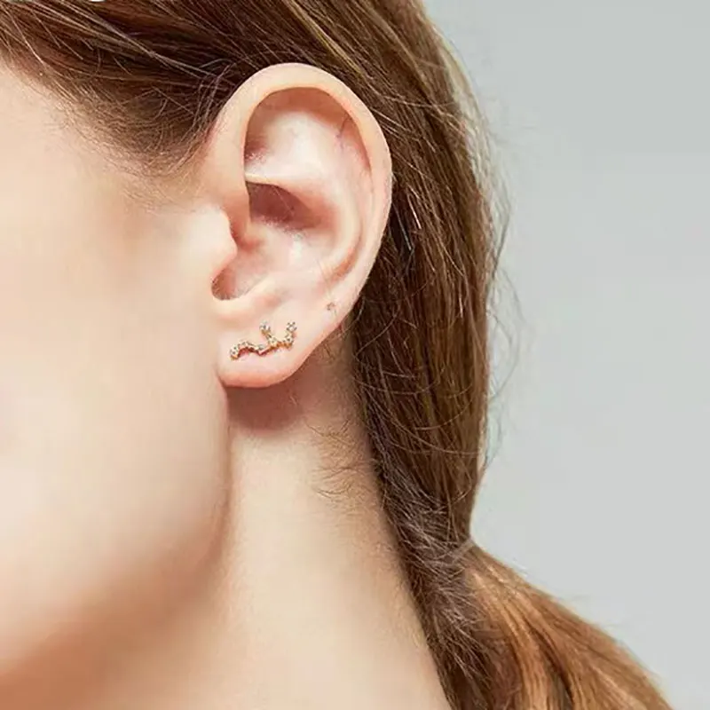 Twelve Constellations Ear Helix Piercing For Women Stainless Steel Cartilage Helix Lobe Piercing Earrings Girl Friendship Gift