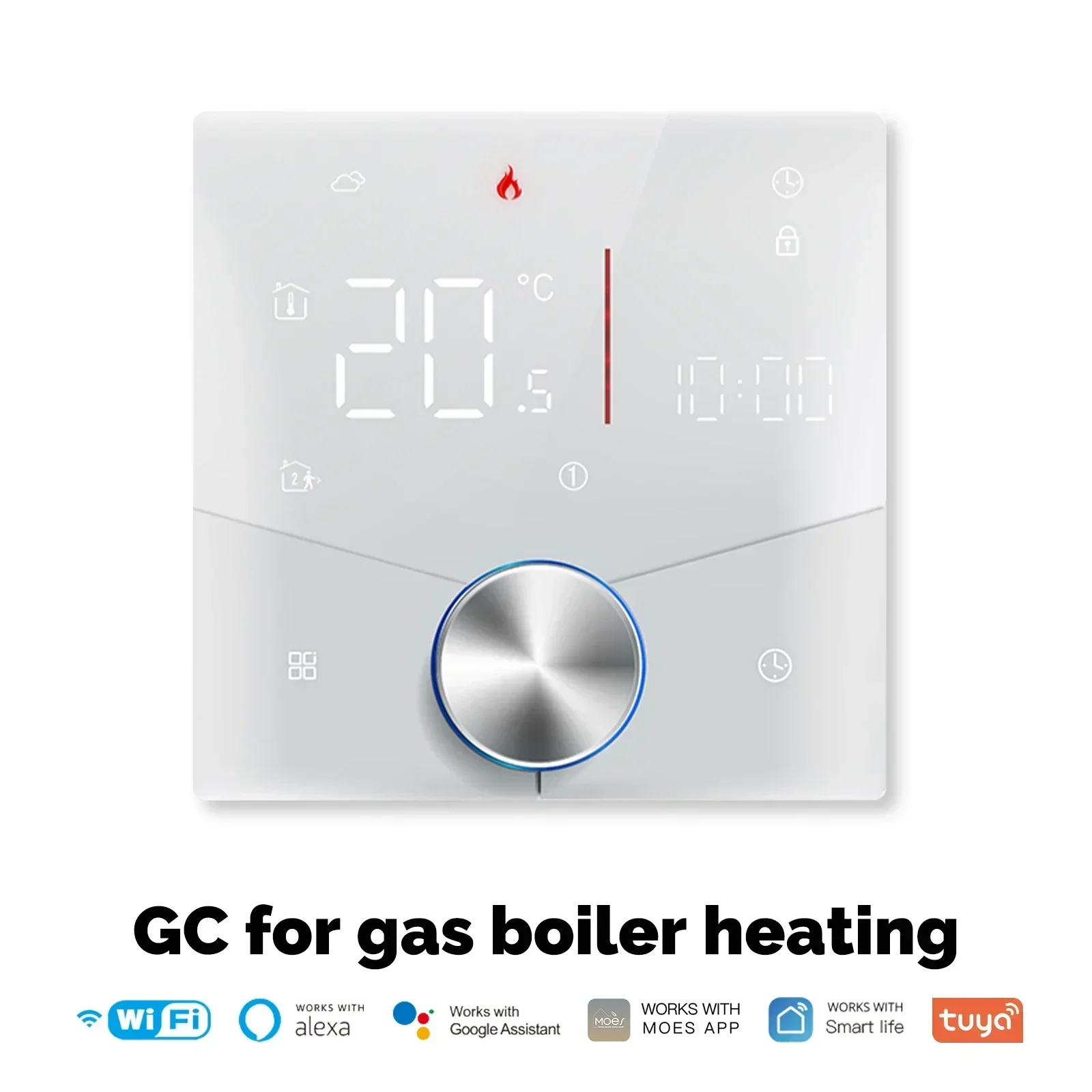 Variant: water gas boiler WH