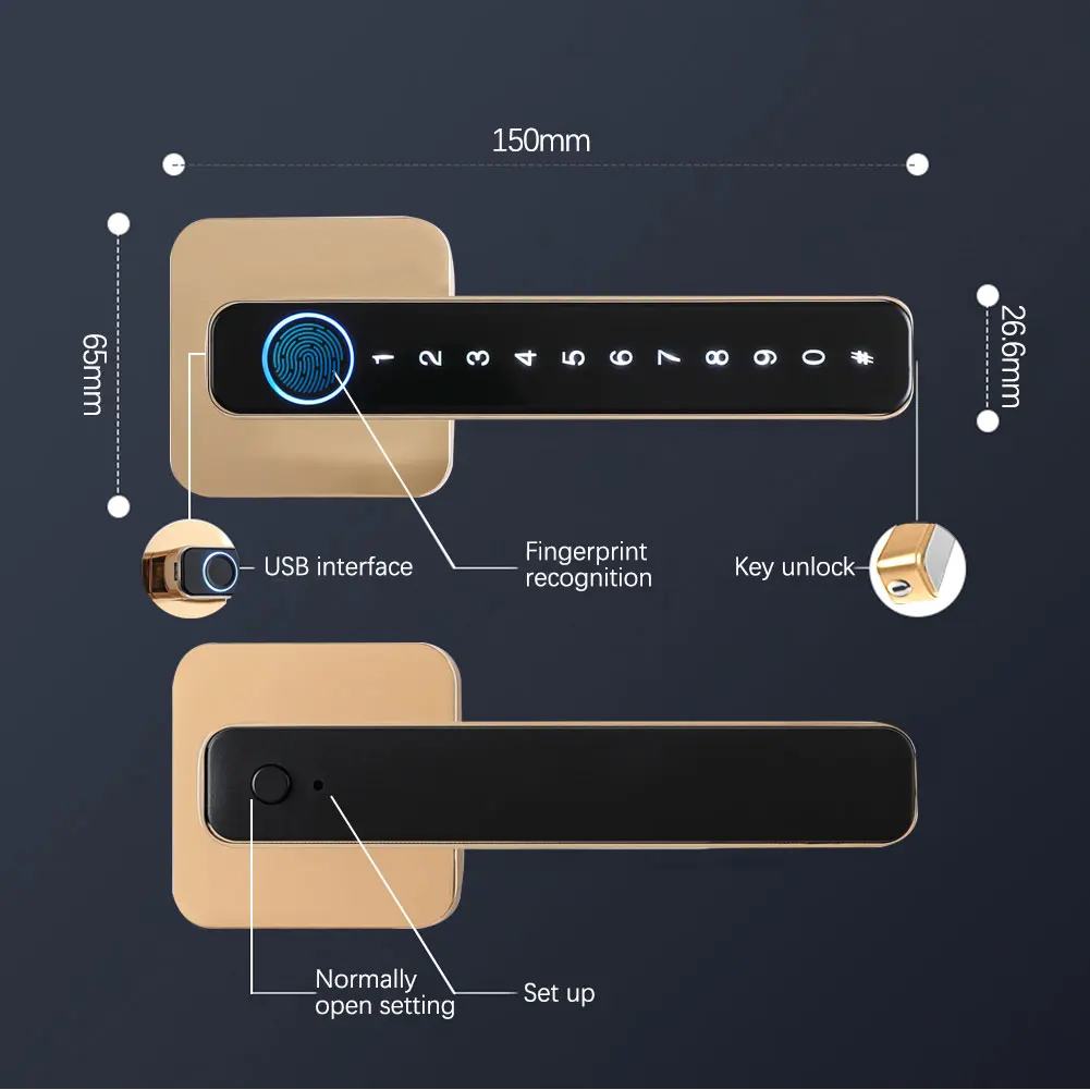 Biometric Smart Door Lock Fingerprint Password Electric Digital Handle Tuya Zinc Alloy Keyless Remotely Security Home KingKu