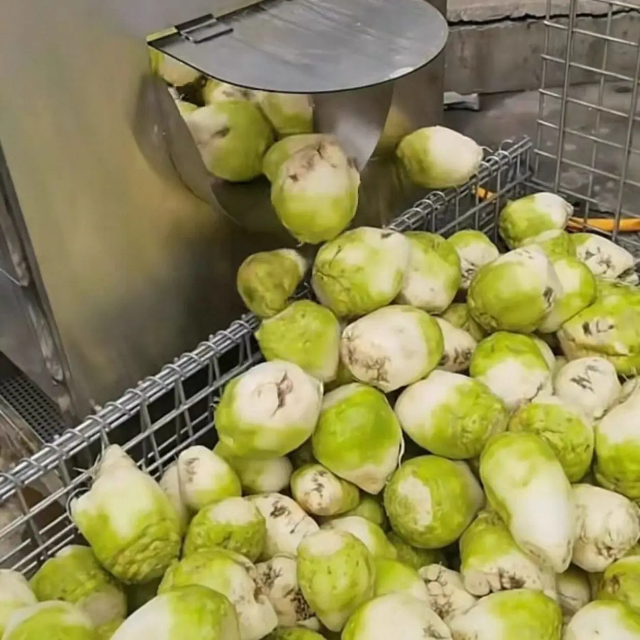 

Электрическая машина для мытья кожи фруктов и овощей, автоматическая машина для очистки картофеля, моркови, сладкого картофеля, имбиря, 200 кг/ч