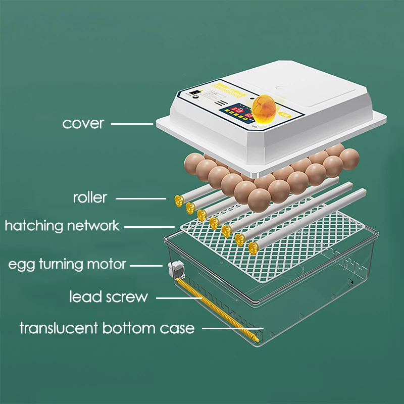농장 가금류 완전 자동 회전 계란 인큐베이터, 이중 전기 미니 가정용 브로더, 닭 거위 오리 새 16 알, 220V
