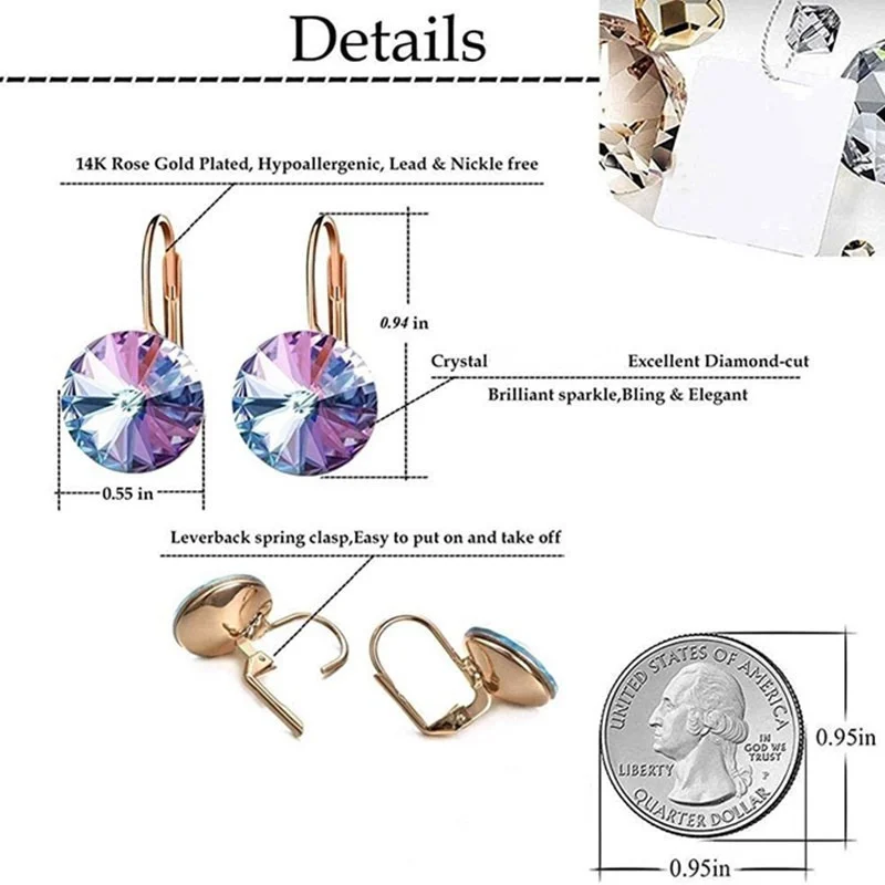 New Fashion Crystal Round Drop Earrings for Women 14K Rose Gold Plated Leverback Hoop Earring Party Wedding Jewelry Gifts