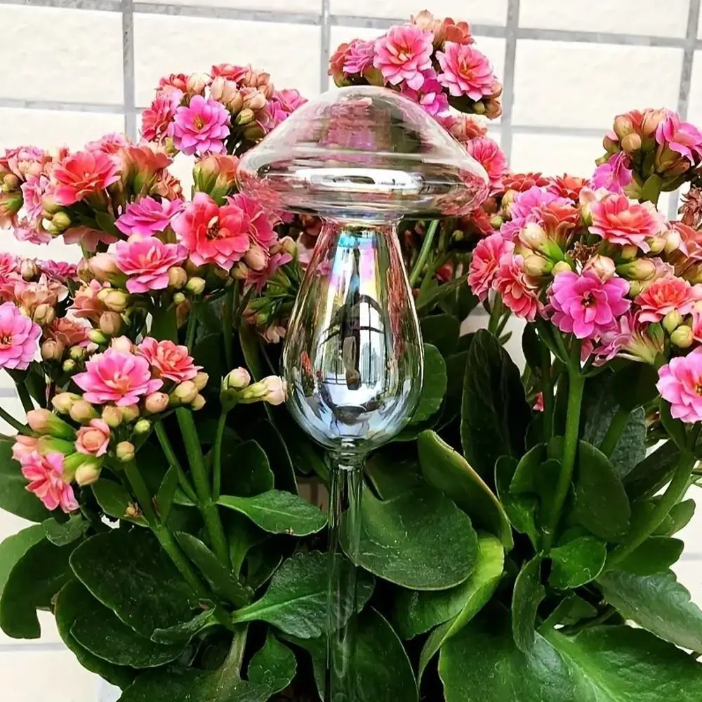 Glass Plant Watering Glass Globes Mushroom Shape Self Watering Drip Irrigation System Rainbow