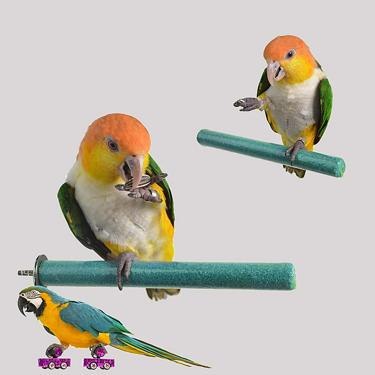 

Bird Cages for Parakeets Toys Parrot Stand Ladder Grind Stick Climbing Pet Training Game