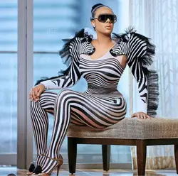 Women Elastic Mesh Zebra Print Sexy Tight Jumpsuit Long Sleeved Two-Piece Bar Nightclub Stage Performance Dress