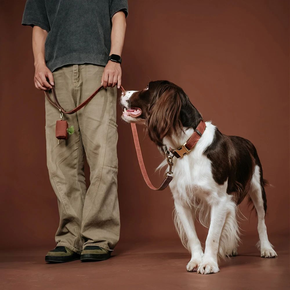 1,5m Lange PU-Leder Gepolsterte Hundeleine Langlebige & Retro-Hundeleine für Kleine und Mittelgroße Hunde in 9 Farben Erhältlich – Detail 14