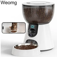 Comedero Automático Inteligente 4L