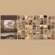 Thumbnail 24
