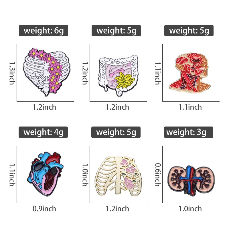 Medical Organs Enamel Pin Custom Heart Lungs Intestine Brain Nervous System Brooch Lapel Badge Jewelry Gift For Medical Students