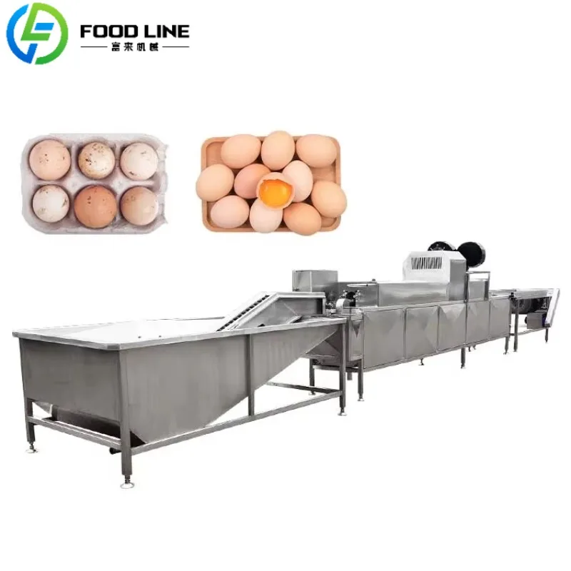 Maximizing Poultry Efficiency: A Deep Dive into the Customized Automatic Egg Washer for Commercial Kitchens