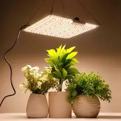 Lampe horticole de croissance LED, 800/700/600W, avec diode Samsung, silencieuse, pour serre/chambre de culture hydroponique, plantes