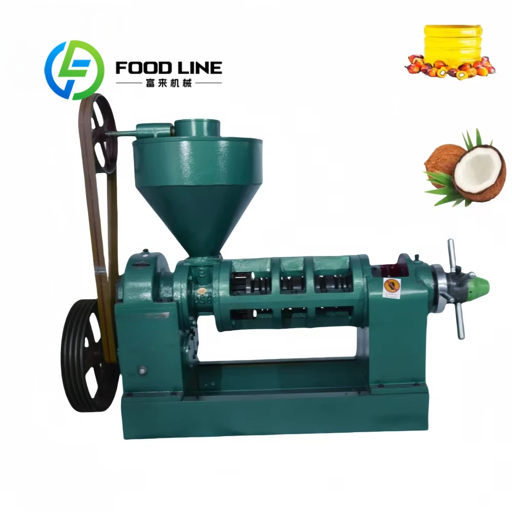 120 Model 270Kg/Hour Palm Kernel Nut Oil Press Machine Vegetable Seed Oil Mill Machine