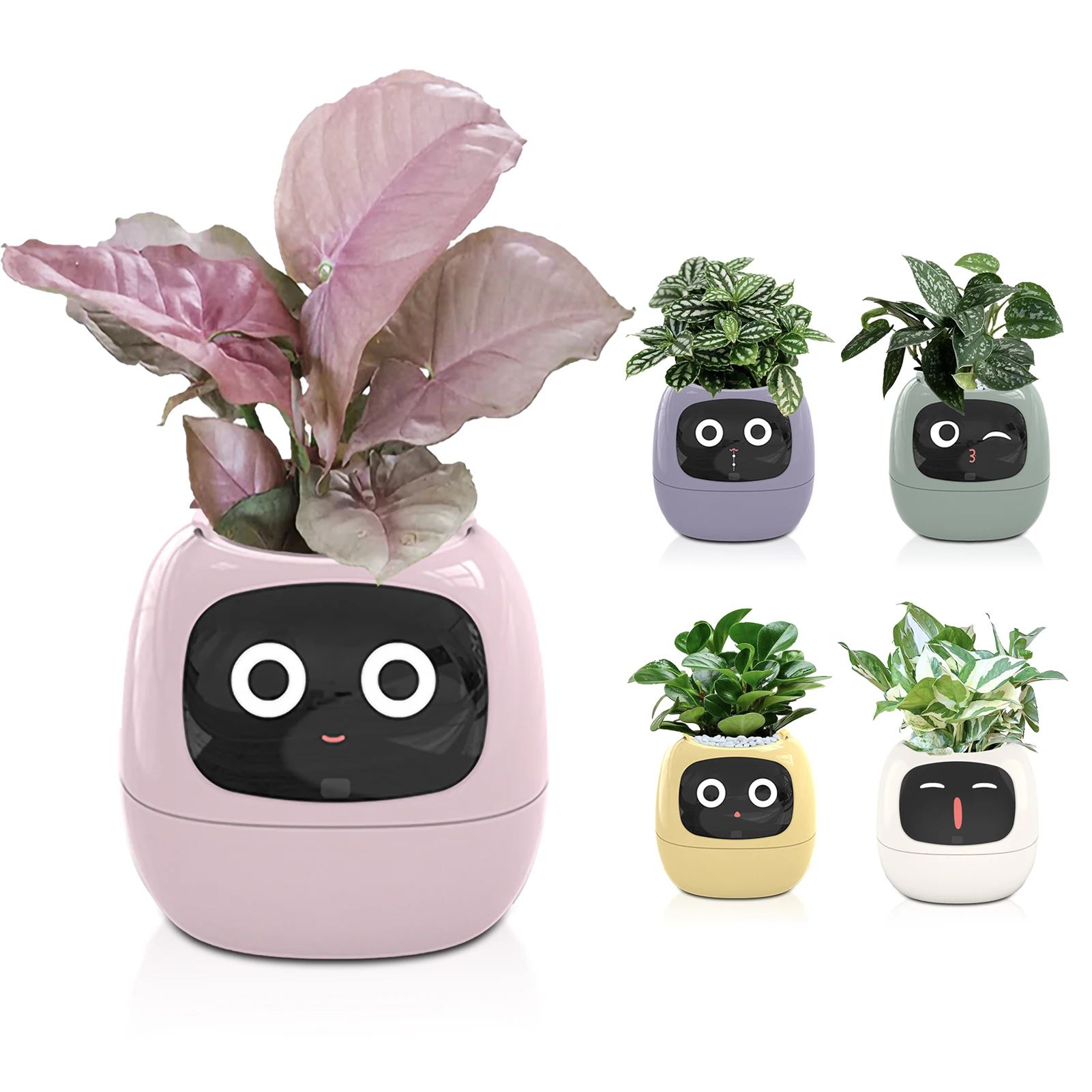 

Advanced Flower Pot Automatic Absorbent Flower Pot PP Resin Plastic Round Flower Pot Environmentally Friendly Free Pouring