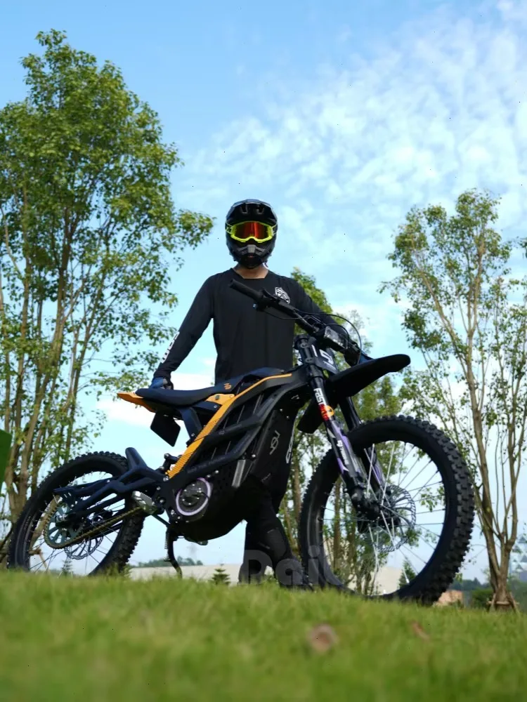 AliExpress Daibot Off Road Electric Motorcycle High Speed 72V Powerful Electric Dirt Bike For Adults 2 Wheels Electric Motorbike For Adults