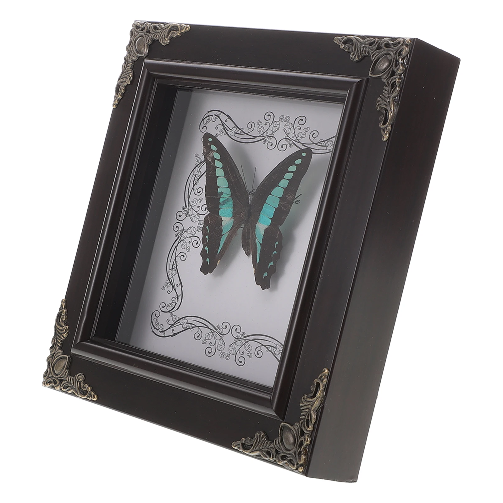 

Real Butterfly Specimen Display Frame Vintage Butterfly Art Framed Decorative Picture Frame Home Decor
