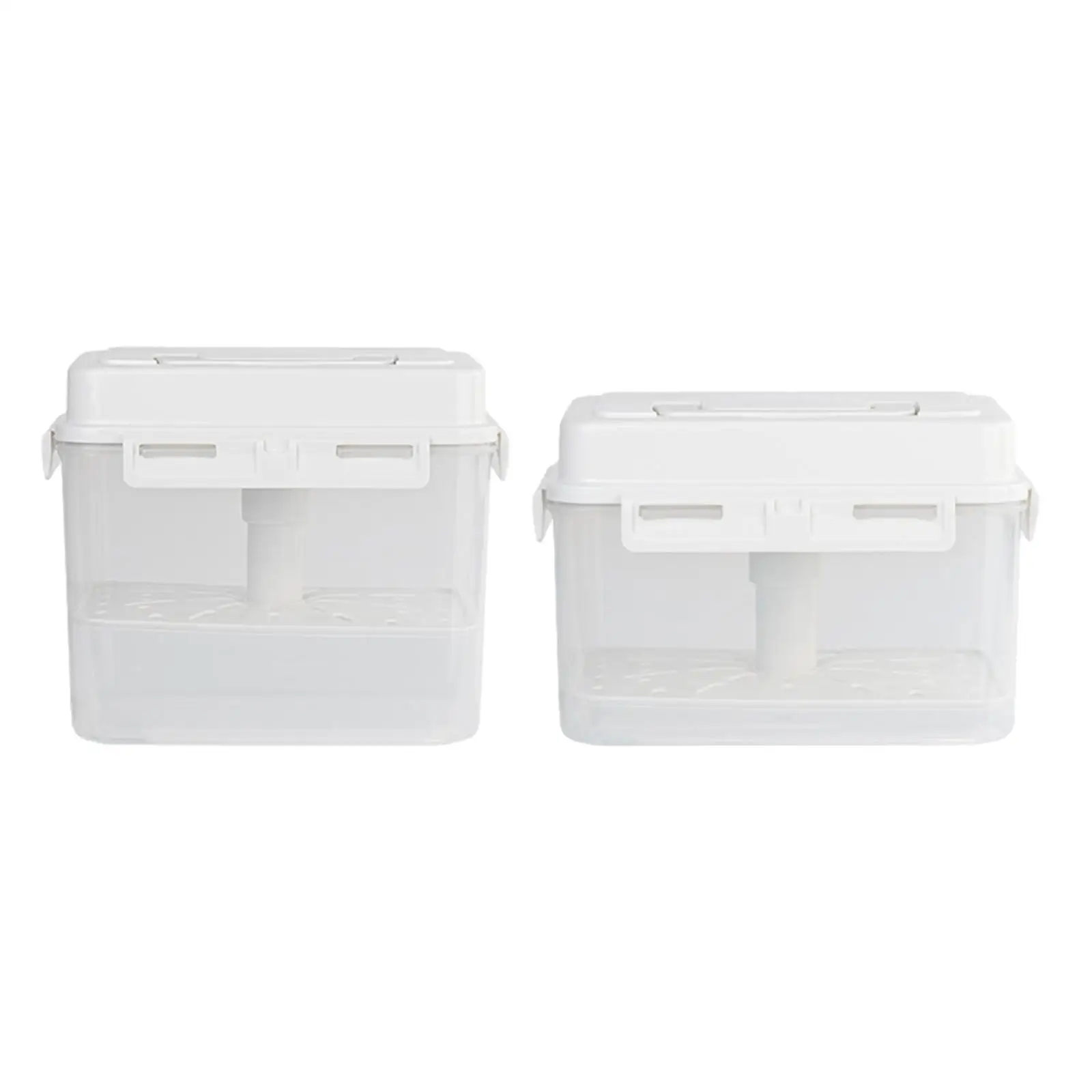Kimchi Container Food Storage Container and Handle Fruit Container Rectangular Fresh Keeping Box for Office Household Travel