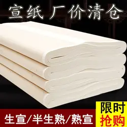 100 Sheets Factory Price Clearance Raw Rice Paper Thickened Calligraphy Special Student Xuan Chinese Painting Creation Practice