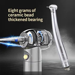 HEXION Dental LED High Speed Handpiece With Lights Standard Torque Head Push Button 3 Water Spray 2/4 Holes High Rotation Pen