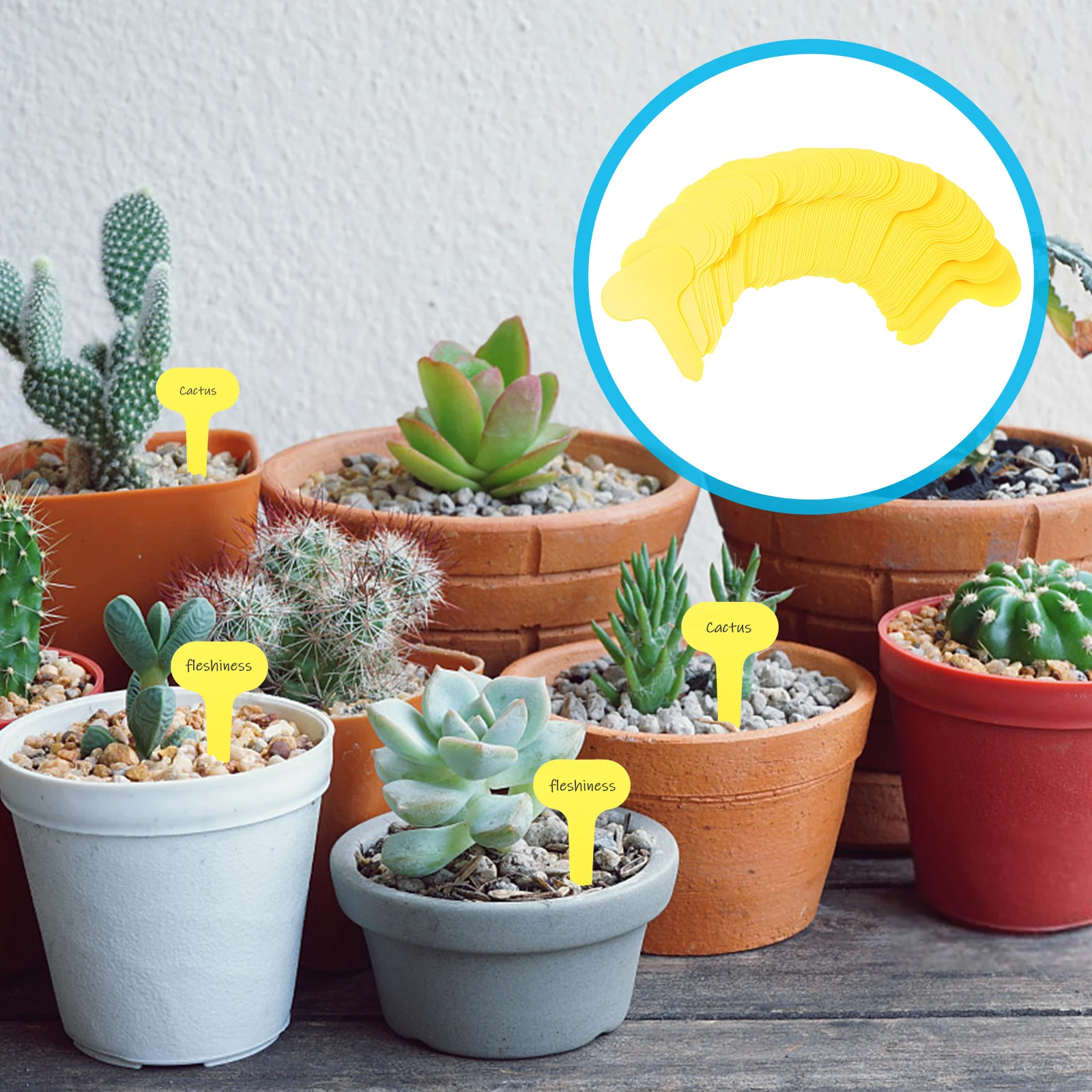 

100Pcs Garden Labels Durable Plant Markers Easy to Insert in Soil T Shape Design Ideal for Commercial Landscaping