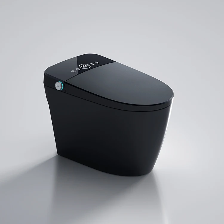 Matte Black Bidet Floor Smart Toilet S Trap Toilets With Bidet Ceramic Wc