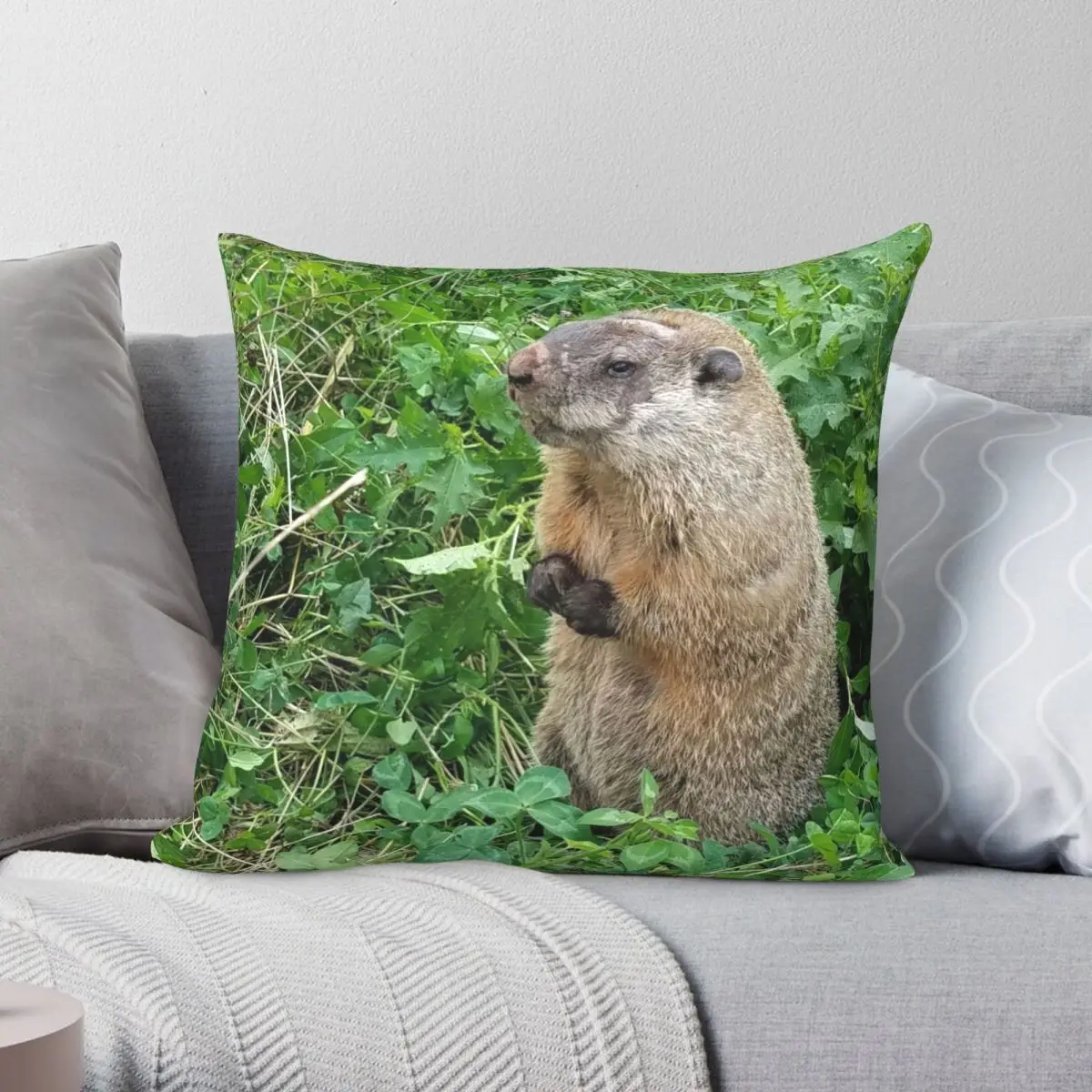 Elderly Groundhog Square Pillowcase Polyester Linen Velvet Printed Zip Decor Throw Pillow Case Room Cushion Cover Wholesale