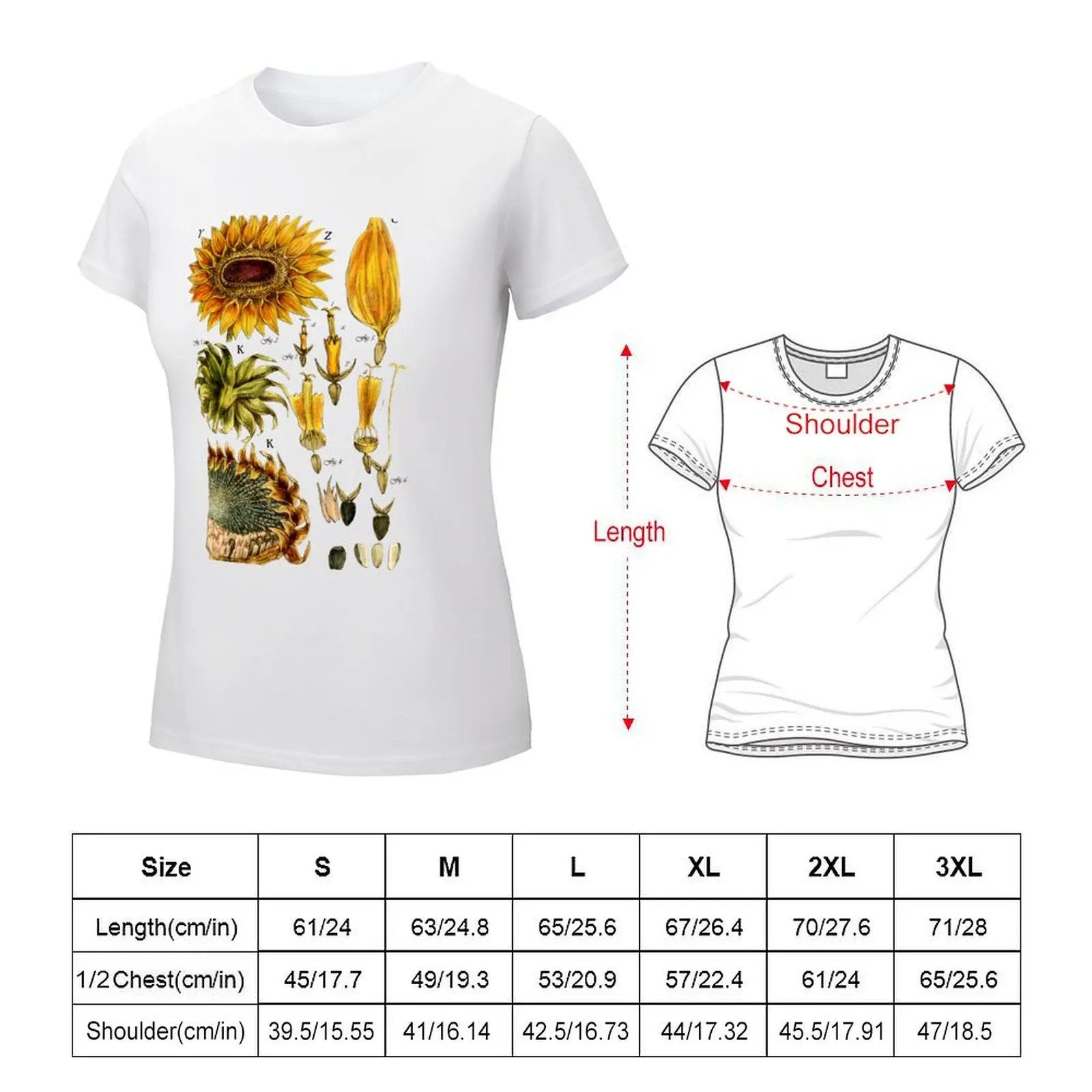 Sunflower, antique botanical illustration T-shirt anime clothes summer top oversized black t shirts for Women