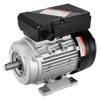 VEVOR 0.75KW Air Compressor Motor Single Phase 2800 rpm Electric AC Motor Keyed Shaft CW/CCW Rotation for Agricultural Machinery