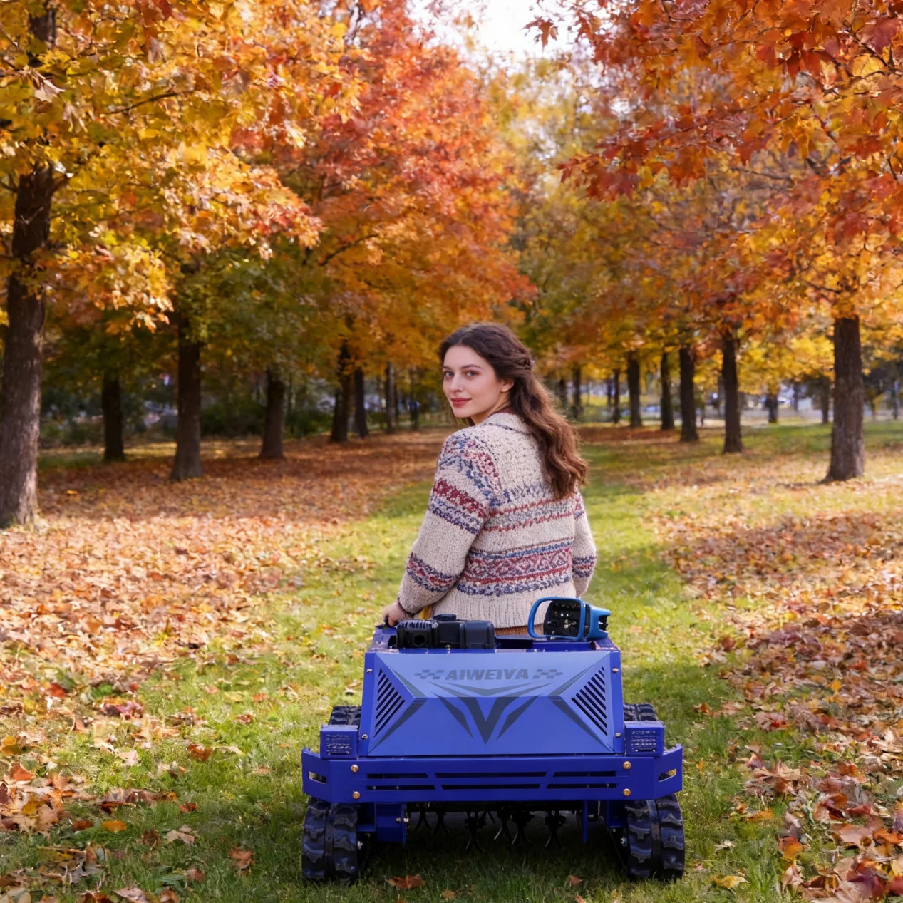 Customized Lawn Mow…