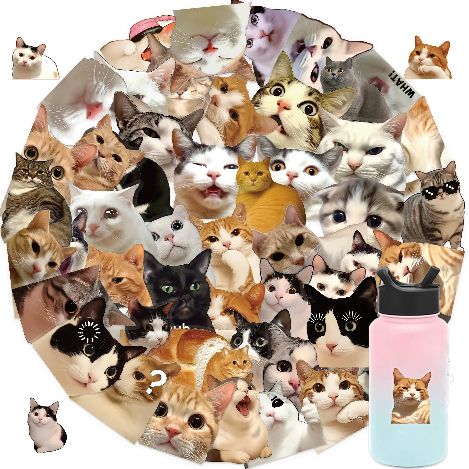 50/100 pezzi simpatici gatti divertenti adesivi trasparenti animali graffiti scrapbooking telefono skateboard pacchetto di decalcomanie fresche impermeabili